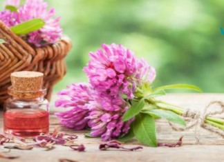 მცენარე რომელიც ქალთა ახალგაზრდობისა და სილამაზისთვის გამოიყენება!!