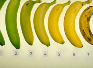 რომელი ბანანი უნდა მიირთვათ: მწვანე თუ მუქი წერტილებით?. .