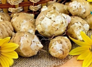 მიწავაშლა ძალიან სასარგებლოა დიაბეტით და პანკრეასით დაავადებული ადამიანებისთვის. .