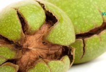 ყურადღება! ეს საშუალება პროსტატას 1 ღამეში „გაანადგურებს“! Საუკეთესო გზა…