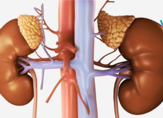 მტვრევადი ფრჩხილები და ძილის პრობლემები? ძველი რეცეპტი აუცილებლად გამოგადგებათ. .