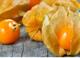 ეს ხილი უბრალოდ ბუნების ნამდვილი სასწაულია! შეუძლია კუჭის და პროსტატის დაავადებების განკურნებაც კი