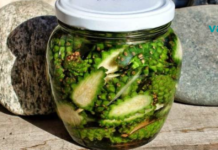 გირჩების ნაყენი სისხლძარღვების სამკურნალოდ ერთ ერთი რჩეული პროდუქტია!