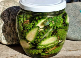 გირჩების ნაყენი სისხლძარღვების სამკურნალოდ ერთ ერთი რჩეული პროდუქტია!