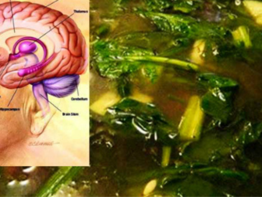 მეხსიერება აღდგება 95-ზე მეტი პროცენტით! ასევე ეს საშუალება დაგეხმარებათ ძვლების და მხედველობის გაუმჯობესებაშიც..