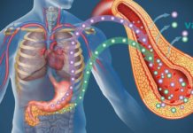 რა უნდა იცოდეს ყველამ ჰორმონის ინსულინის შესახებ?