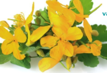 ქრისტესისხლა დაგეხმარებათ ონკოლოგიური და მრავალი სხვა დაავადების მკურნალობაში!