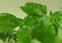 ერთგული მკითხველისთვის! რეჰანი მართლაც რომ ღვთის საჩუქარია, არა? . .