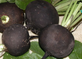 დაამარცხეთ სახსრების ნებისმიერი ტკივილი – შავი ბოლოკი! წარმოუდგენელი ეფექტურობა!