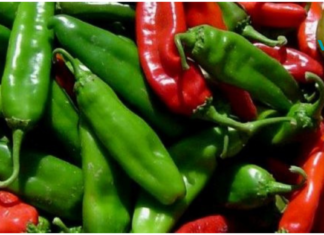 ინგრედიენტი, რომელიც აღადგენს პროსტატისა და მსხვილი ნაწლავის ფუნქციას? გამოარკვიეთ რა არის ეს!