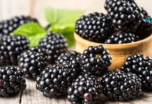 აგვისტოს საკვები – აგვისტოს ყველაზე სასარგებლო პროდუქტები!