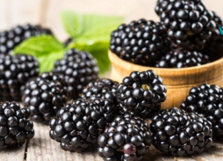 აგვისტოს საკვები – აგვისტოს ყველაზე სასარგებლო პროდუქტები!