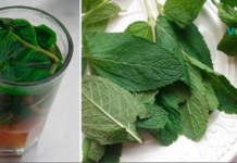 მხოლოდ ერთი ჭიქა ამ სასმელიდან და თქვენი ღვიძლი სრულიად განახლდება