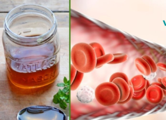 სანამ ეს ინფორმაცია კიდევ ხელმისაწვდომია! კამა, თაფლი და ვალერიანი-მოამზადეთ საუკეთესო საშუალება სისხლძარღვებისთვის