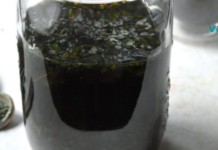 იცოდით, რომ ჭინჭარი არის ღირებული მულტივიტამინური მცენარე, ვიტამინების ერთგვარი ბუნებრივი კონცენტრატი !