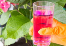 რატომ აკრძალეს კალიუმის პერმანგანატი: აფთიაქებში ის აღარ არის ხელმისაწვდომი!!