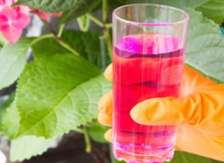 რატომ აკრძალეს კალიუმის პერმანგანატი: აფთიაქებში ის აღარ არის ხელმისაწვდომი!!