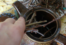 ამ გასაოცარი რეცეპტის დიდი მადლიერი ვარ: ყოველ წუთს ტუალეტში სირბილი აღარ მიწევს