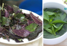 მკითხველო როგორც კი გაეცნობით ამ ინფორმაციას, ყოველდღე დალევთ რეჰანის ჩაის ! აი რეცეპტიც, სასწაულია…