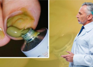 მინდა ყველამ იცოდეს: სოკოს ამის ისე ეშინია, როგორც ცეცხლის! . .