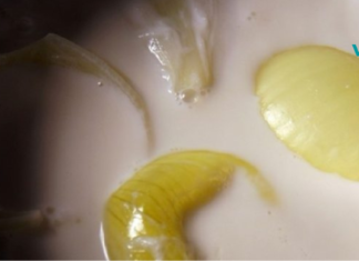 დაივიწყეთ გაციება სამუდამოდ ! მიიღეთ სულ რაღაც 2 კოვზი…