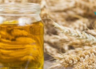 ხორბლის  ღივების ზეთის სამკურნალო და კოსმეტიკური თვისებები. გაოცებული დარჩებით როცა ამ სტატიას გაეცბობით.