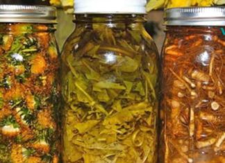 ჩვენი რჩევაა ეს სასწაულმოქმედი ნაყენი ყველას ჰქონდეს ოჯახში!