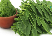 “სიცოცხლის ხე” – ყველაზე უნიკალური მცენარე მსოფლიოში თავისი სამკურნალო თვისებებით