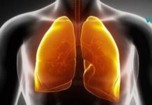 შენიშვნა მწეველთათვის: ძველი ელიქსირი ფილტვების გასაწმენდად!