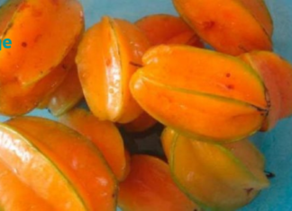 გეცნობათ ეს ხილი?! ის დაგეხმარებათ აკონტროლოთ დიაბეტი, შეამციროთ ქოლესტერინი, მაღალი წნევა და სხვა…