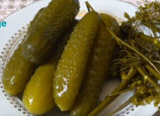 Შოკირებული ვარ! კიტრის მწნილს და სხვა ფერმენტირებულ საკვებს შეუძლია გააუმჯობესოს თქვენი ცხოვრება!