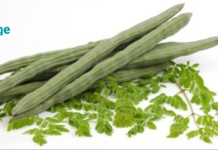 ხე, რომელსაც შეუძლია 100 დაავადების მკურნალობა, მათ შორის კი დიაბეტი ერთ-ერთი მთავარია!