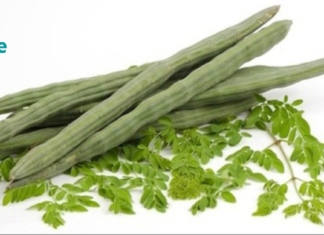 ხე, რომელსაც შეუძლია 100 დაავადების მკურნალობა, მათ შორის კი დიაბეტი ერთ-ერთი მთავარია!