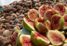 რატომაა ასე მნიშვნელოვანი ორგანიზმში ჟანგბადის დონის ამაღლება?