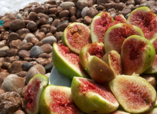 რატომაა ასე მნიშვნელოვანი ორგანიზმში ჟანგბადის დონის ამაღლება?