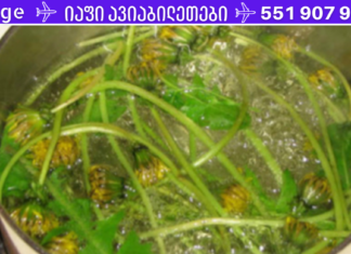 ბალახი, რომელიც 100%-ით უფრო ძლიერია, ვიდრე სხვა საშუალებები! ებრძვის დაავადებებს სხეულისთვის ზიანის მიყენების გარეშე