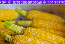 ჩვენ ყველას გვიყვარს სიმინდი, მაგრამ აქაა იმ მიზეზების სია, რატომაც უარი უნდა ვთქვათ მის მიღებაზე!