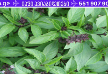 ესაა ყველაზე ძლიერი ანტიოქსიდანტი,რომელიც ხანმოკლე დროში არტერიებიდან გაასუფთავებს ცუდ ქოლესტერინს!