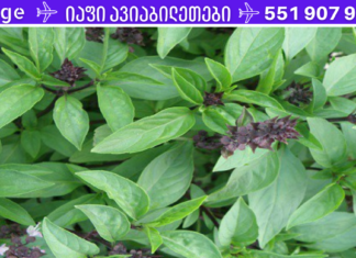 ესაა ყველაზე ძლიერი ანტიოქსიდანტი,რომელიც ხანმოკლე დროში არტერიებიდან გაასუფთავებს ცუდ ქოლესტერინს!