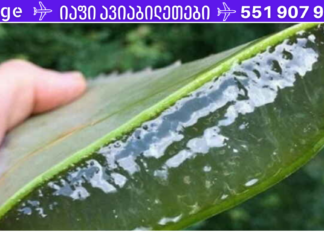 ალოე ვერას, ამ კომპონენტთან ერთად, შეუძლია თქვენი კანის ბზინვარება და სუპერ გათეთრება სულ რაღაც 10 წუთში! თქვენ აღარასდროს იყიდით სახის კრემს!