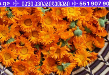 ღვიძლისა და ნაღვლის ბუშტის დაავადებების სამკურნალოდ, გამოიყენეთ გულყვითელას ჩაი. რეცეპტი იხილეთ აქ…