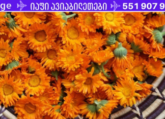 ღვიძლისა და ნაღვლის ბუშტის დაავადებების სამკურნალოდ, გამოიყენეთ გულყვითელას ჩაი. რეცეპტი იხილეთ აქ…