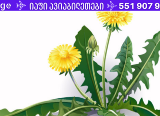 ამ ბალახის მხოლოდ ერთ ფოთოლს, რომელიც ნებისმიერ ბაღშია, შეუძლია გადაარჩინოს თქვენი სიცოცხლე ერთ წუთში, მაგრამ მხოლოდ ცოტამ თუ იცის მისი სწორად გამოყენება!