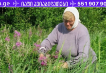 დროა დაიწყოთ სამკურნალო მცენარეების შეგროვება და მათგან საოცარი რეცეპტების მომზადება. . გამოგადგებათ!