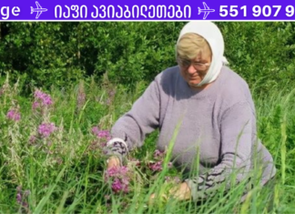 დროა დაიწყოთ სამკურნალო მცენარეების შეგროვება და მათგან საოცარი რეცეპტების მომზადება. . გამოგადგებათ!