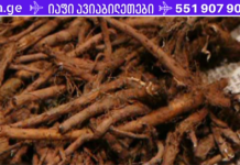 ამ მცენარის ფესვი ჭამიდან მხოლოდ 48 საათის შემდეგ უნდა მიიღოთ და ის დაუყოვნებლივ კლავს ორგანიზმში არსებულ მავნე უჯრედებს!