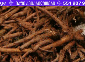 ამ მცენარის ფესვი ჭამიდან მხოლოდ 48 საათის შემდეგ უნდა მიიღოთ და ის დაუყოვნებლივ კლავს ორგანიზმში არსებულ მავნე უჯრედებს!