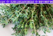 თიამი – მცენარის სასარგებლო თვისებები, გამოყენება და უკუჩვენებები . . მისი ეფექტურობა მართლაც ბევრს გაგაკვირვებთ!