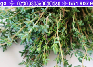 თიამი – მცენარის სასარგებლო თვისებები, გამოყენება და უკუჩვენებები . . მისი ეფექტურობა მართლაც ბევრს გაგაკვირვებთ!
