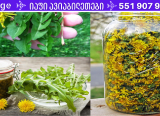 დენდელიონი მკურნალობს ჰეპატიტს, ღვიძლს, თირკმელებს, კუჭის დაავადებებს… აი, როგორ მოვამზადოთ ის სწორად!